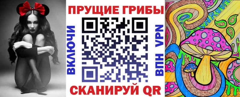 Галлюциногенные грибы MAGIC MUSHROOMS  Купить  Пролетарск 